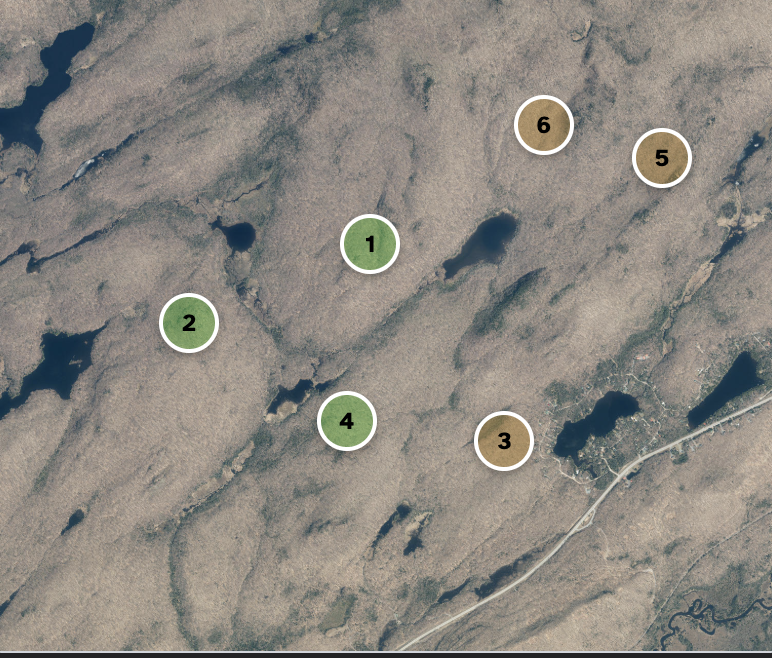 GameSearch-AI gives you precise locations to find wild game like deer, bear and elk.