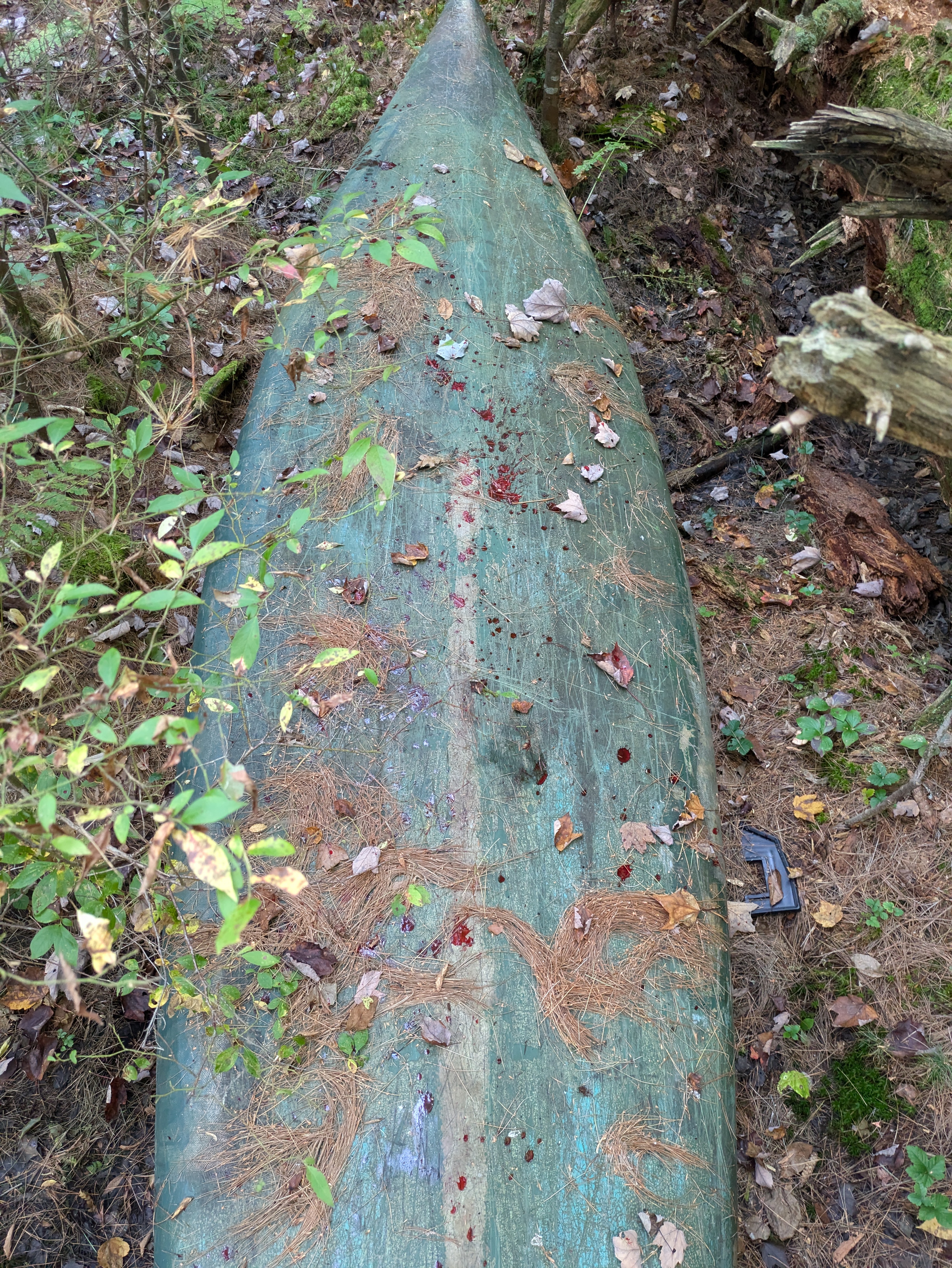 Blood spatter on an old green canoe.